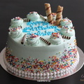Krishana Sparkle Cake 2145