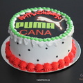 Puma Cana Cake 2011.jpg